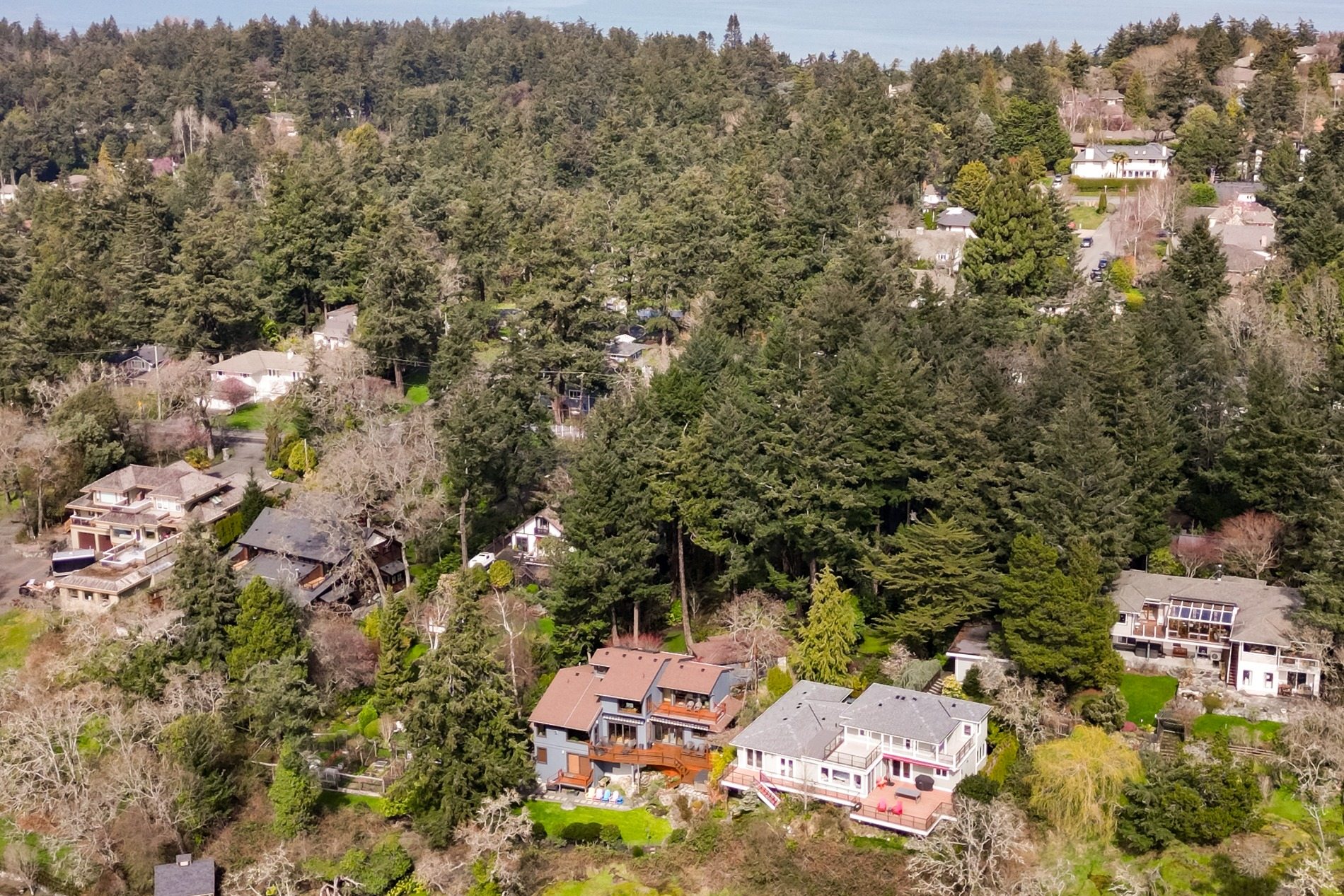Coastal landscape of Vancouver Island